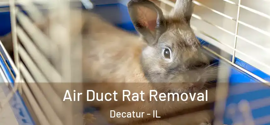 Air Duct Rat Removal Decatur - IL