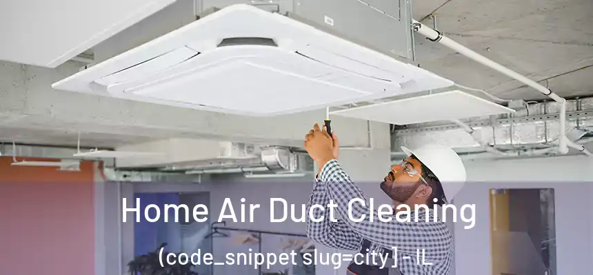  Home Air Duct Cleaning (code_snippet slug=city] - IL