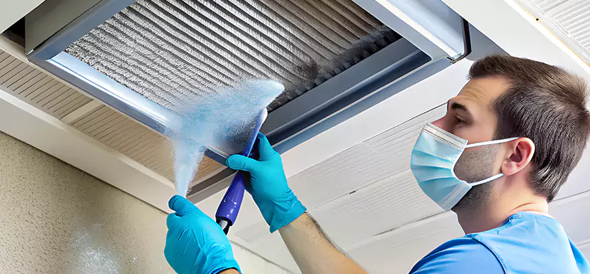 Proactive Dryer Vent & Auxiliary Duct Pollen Cleanup in Decatur, IL