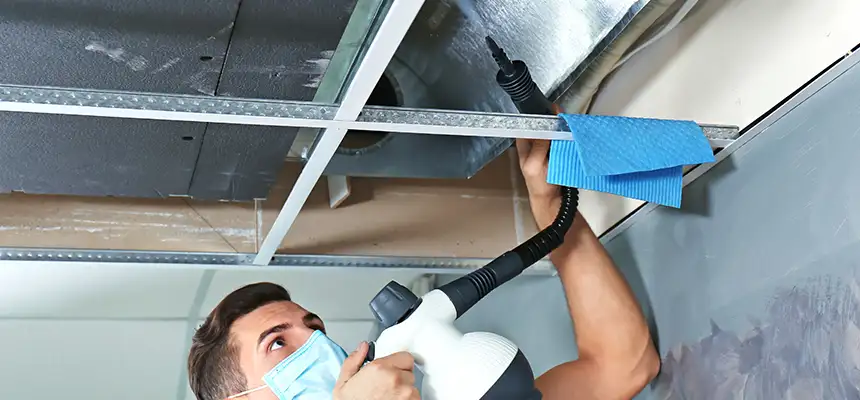 Our Air Duct Rodent Removal Services in Decatur, IL