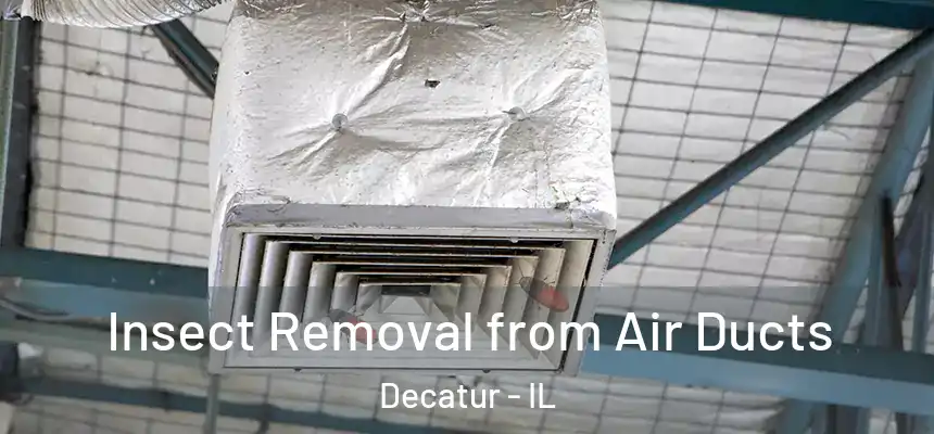 Insect Removal from Air Ducts Decatur - IL