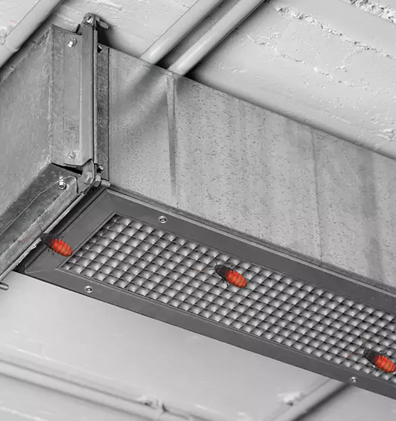 Affordable Insect Removal from Air Ducts in Decatur, IL