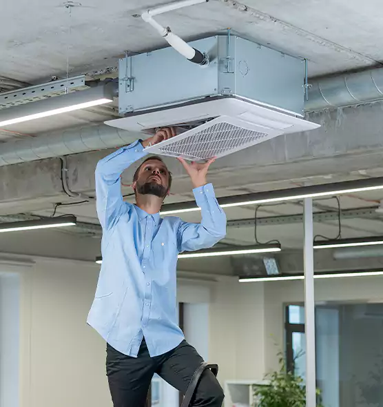 Advanced Rodent Droppings In Vents in Decatur, IL