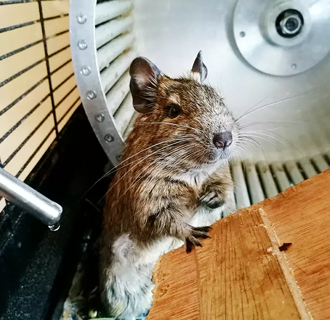 Why Homeowners & Businesses Trust Us Decatur, IL?